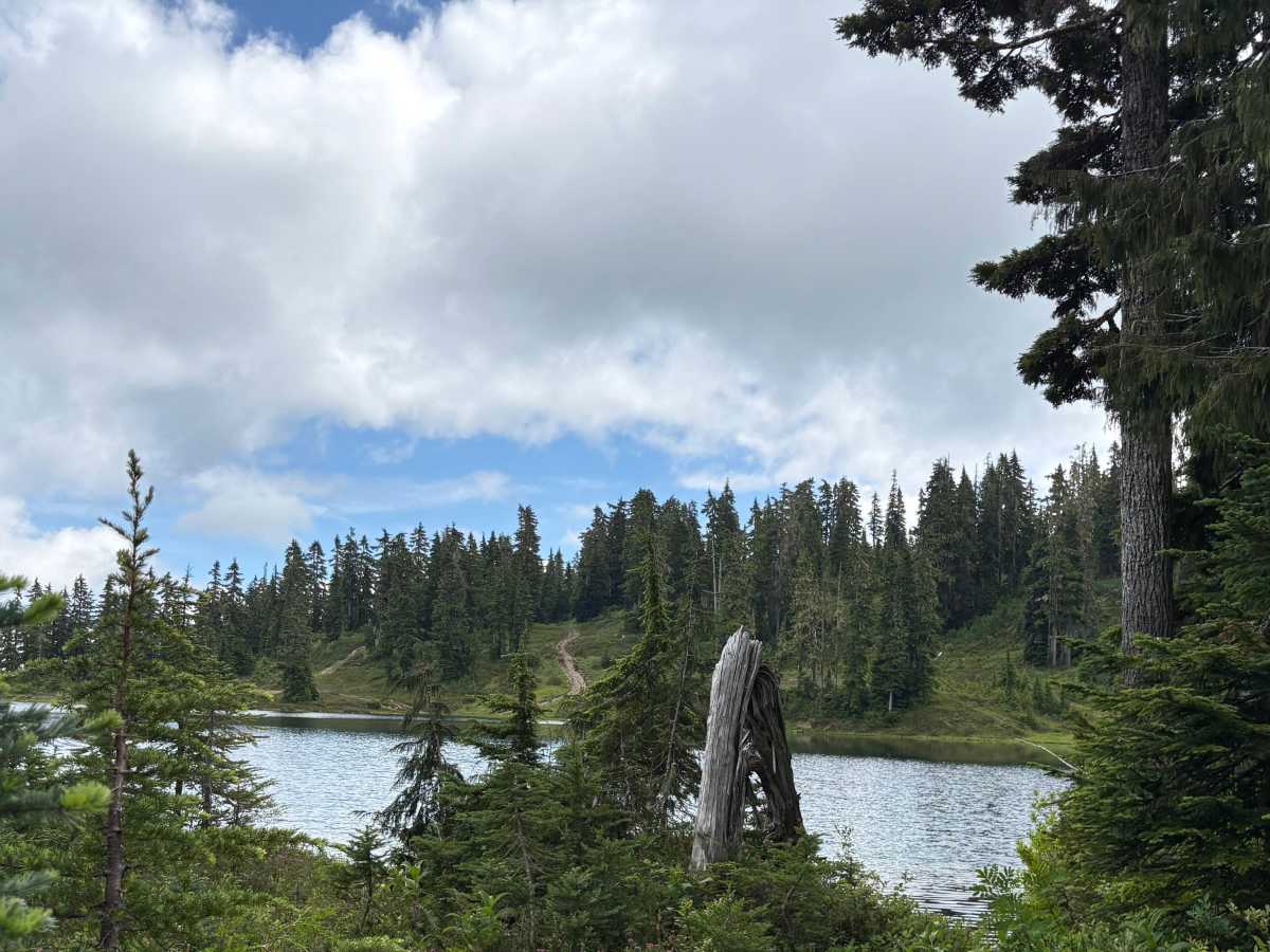 Friesen Lake photo 5
