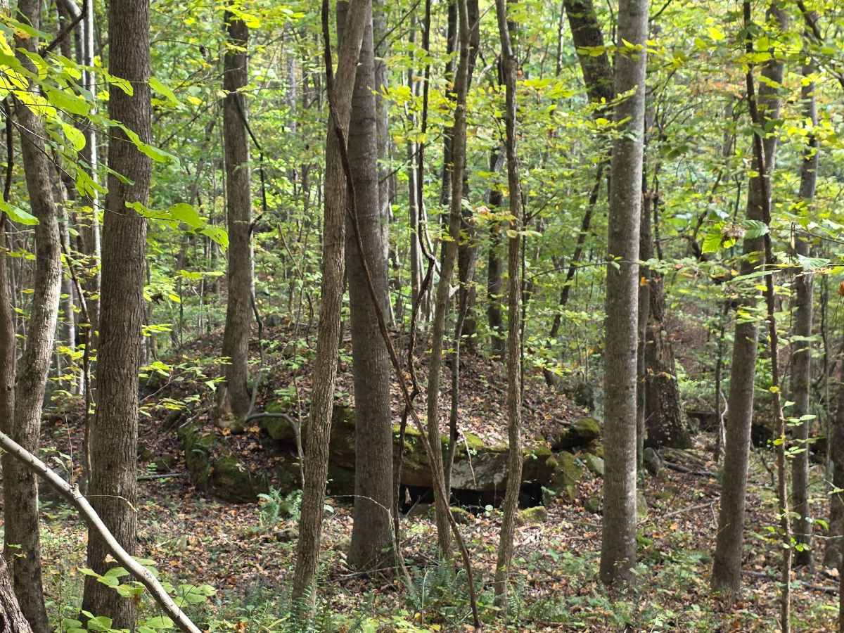 Rock Wall Trail photo 6