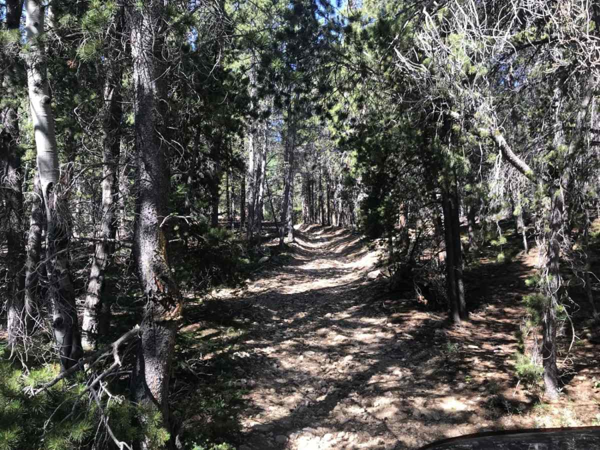Buckeye Mountain Road 512.1 trail photo