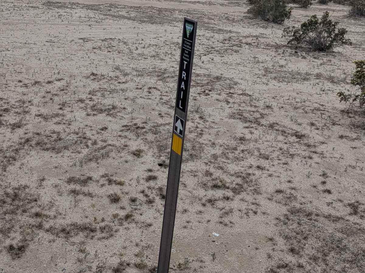 BLM 345 photo 3