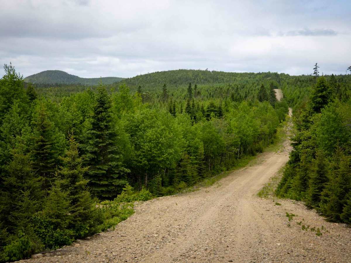 Mount Fronsac Trail trail photo