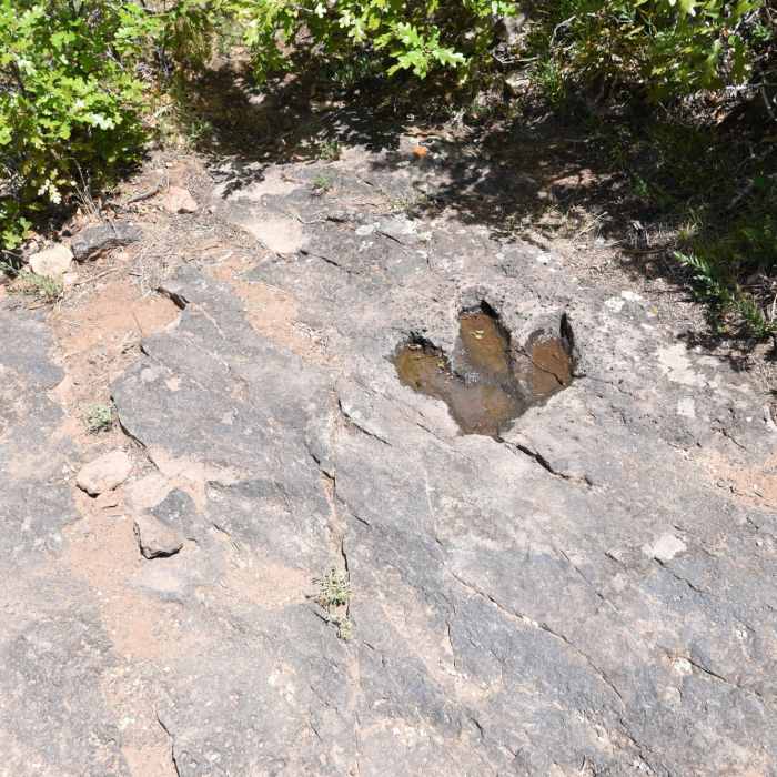 Near Bull Canyon Dinosaur Track Trail