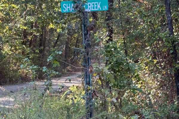 Shack Creek