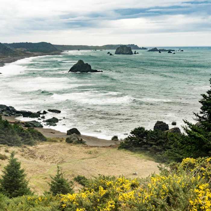 Near Blacklock Point Hike