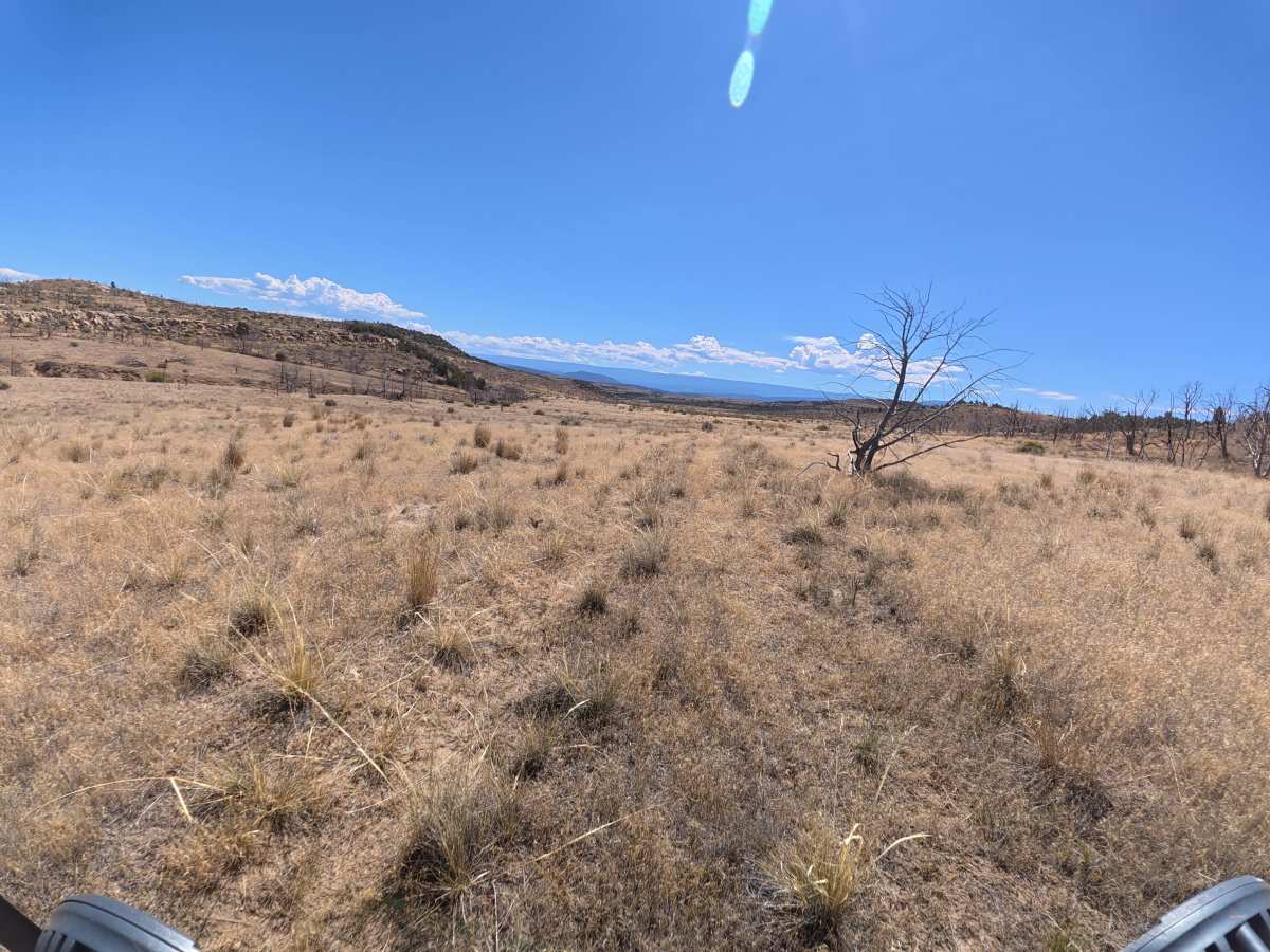 BLM 286B photo 5