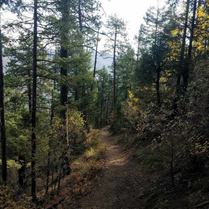 Near Crowe Gulch Trail