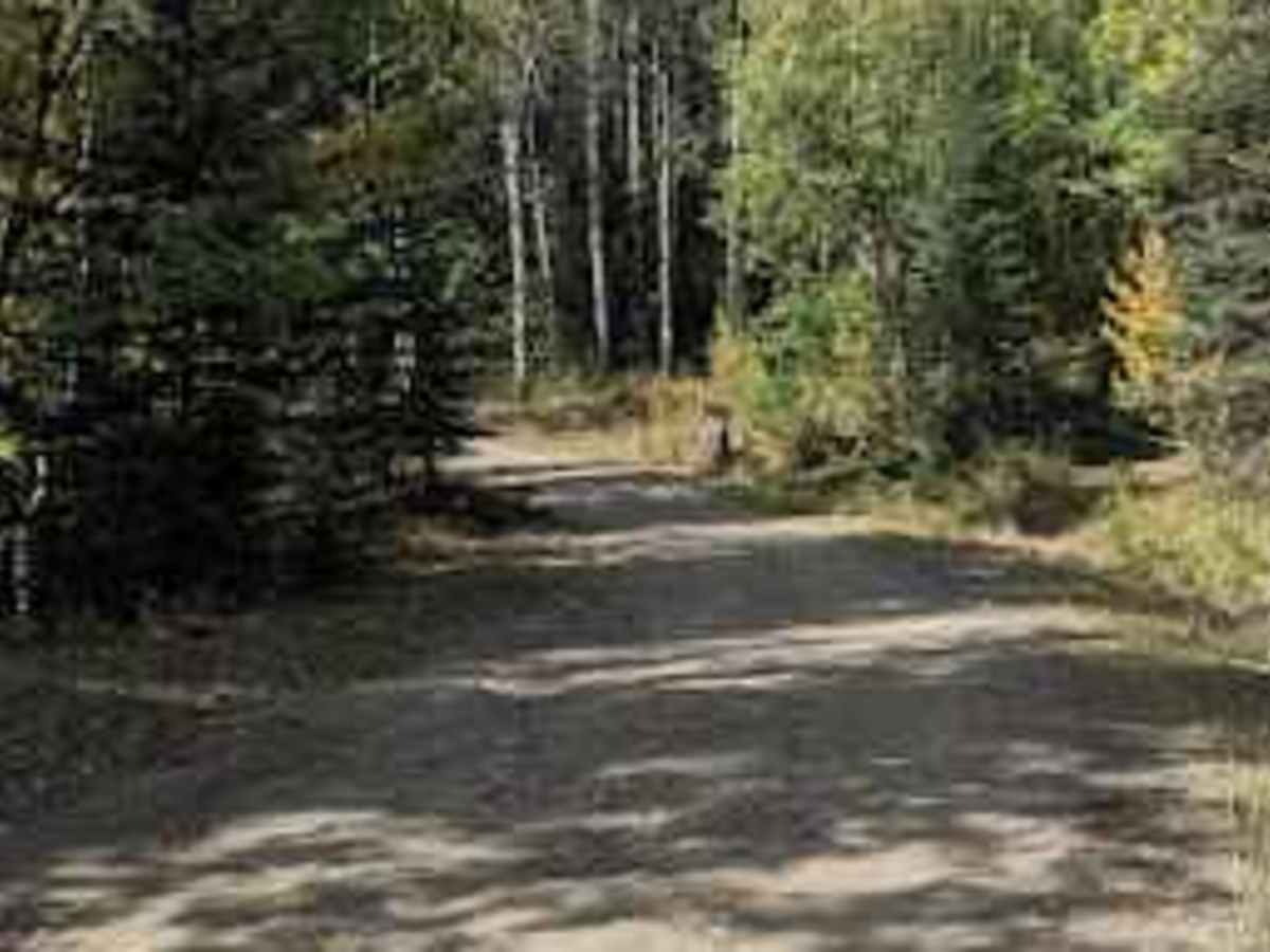 Dutch Creek Road  photo 4