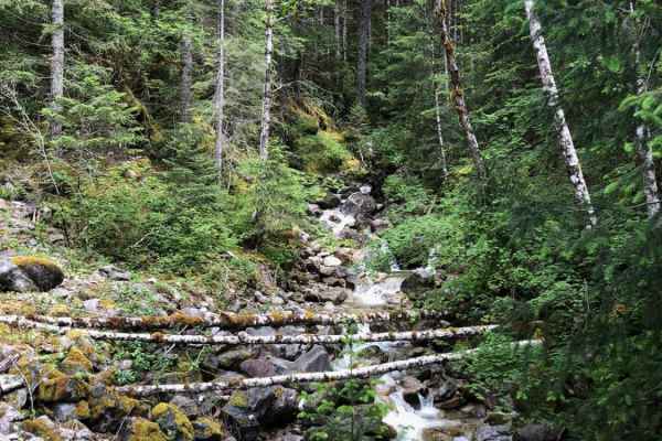 Middle Fork/Goldmeyer Rd