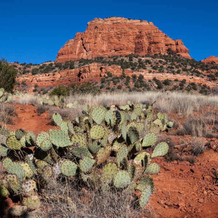 Near Bear Mountain Trail