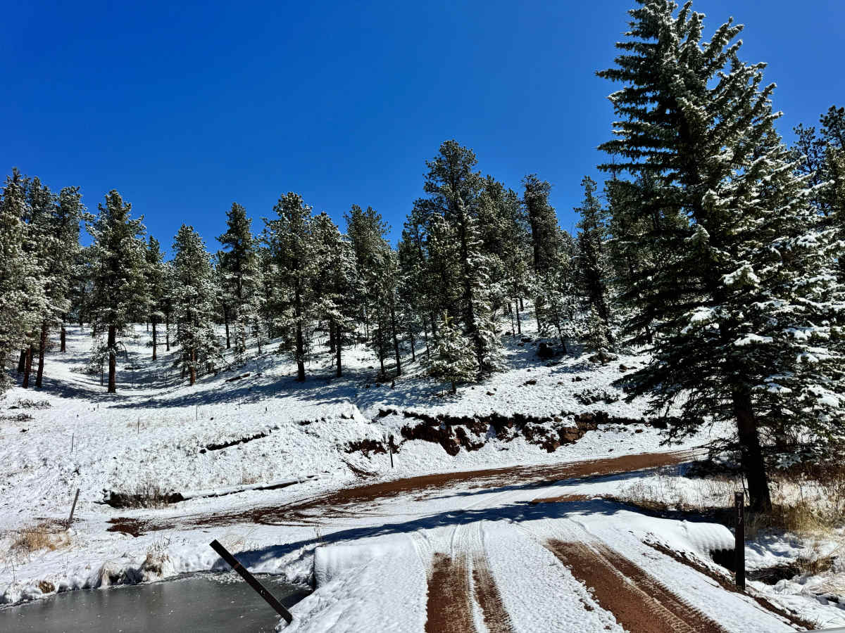 Yucca Road - FS 359 photo 4
