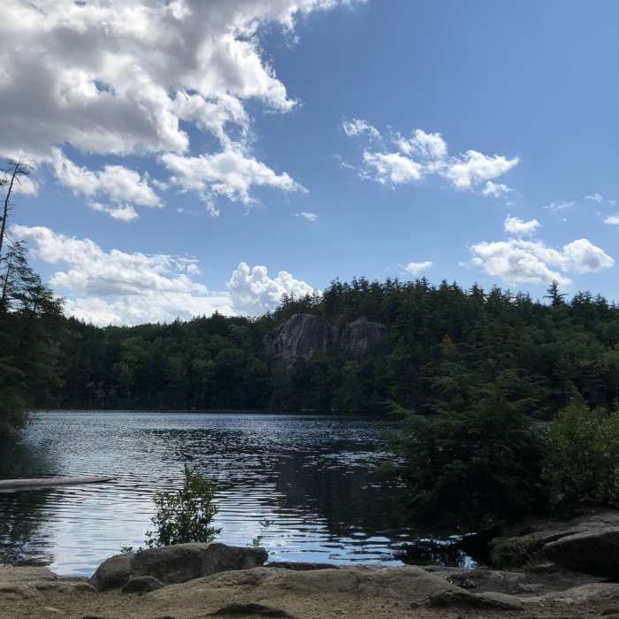 View from end of the road Near Overlook-Locke Loop