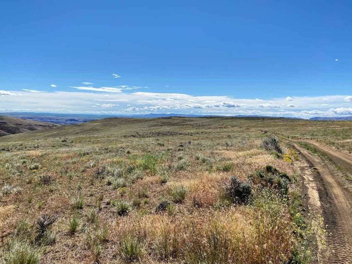Pumphouse Valley photo 6