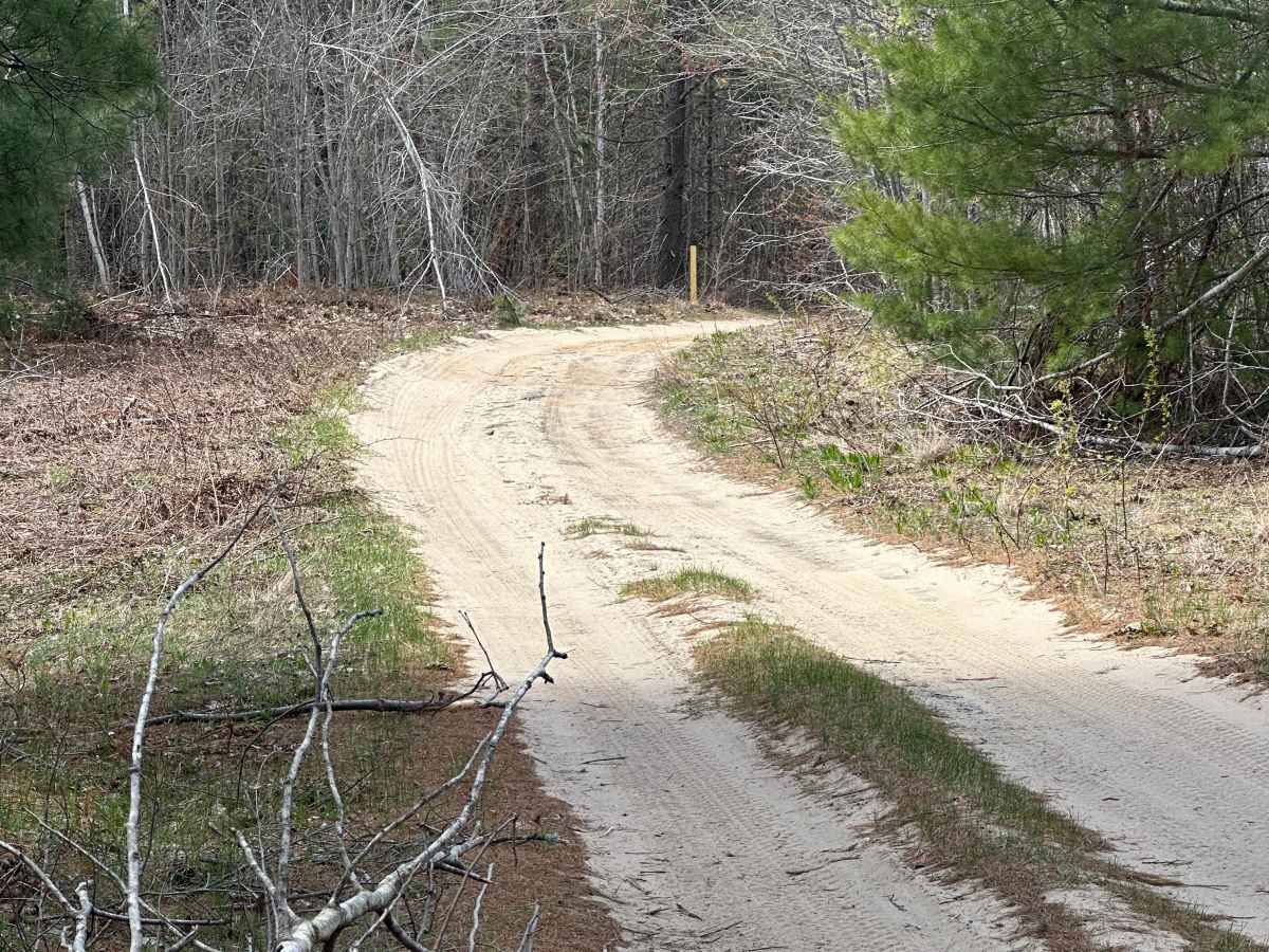 Gump Lake Trail photo 6