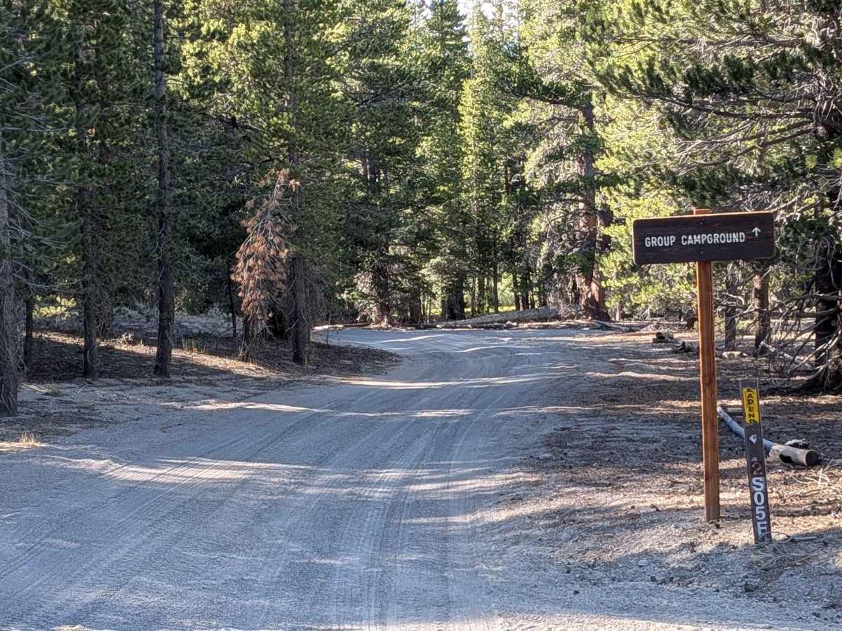 FS 2S05F Obsidian Flat Group Campground trail photo
