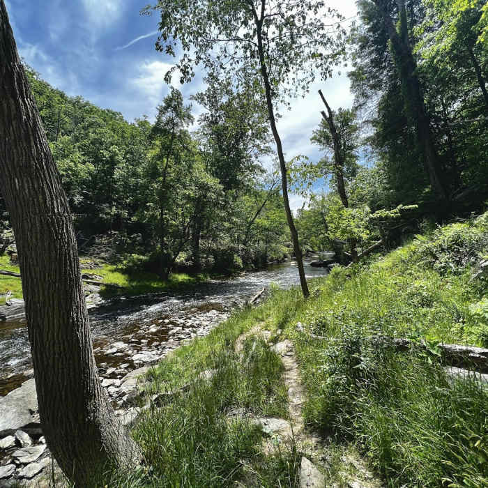 Near Prettyboy Dam Loop
