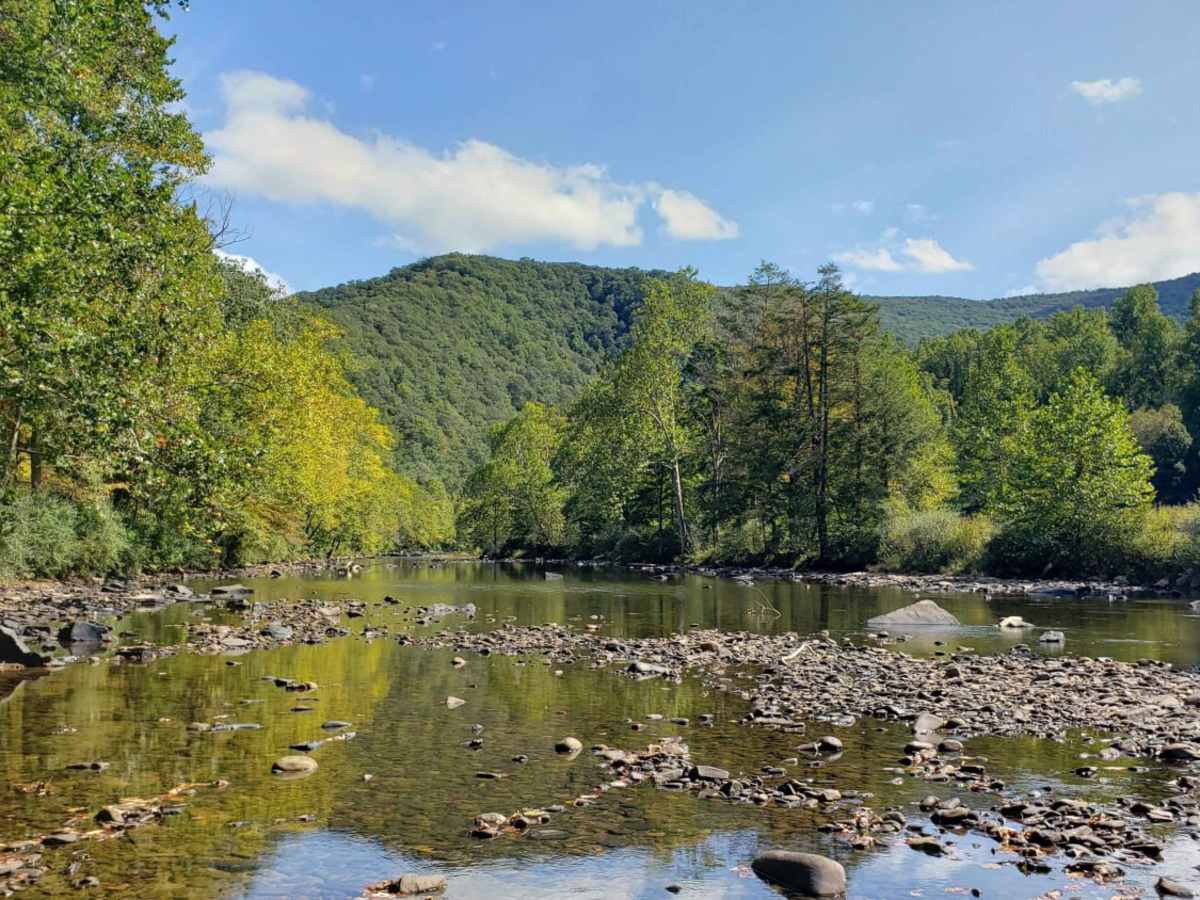 River Road photo 3