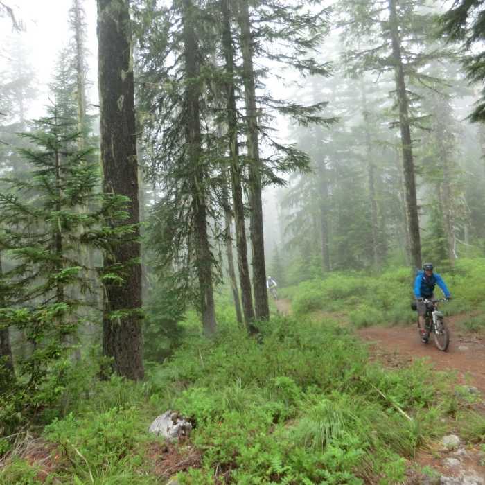 Near Timberline to Town Trail