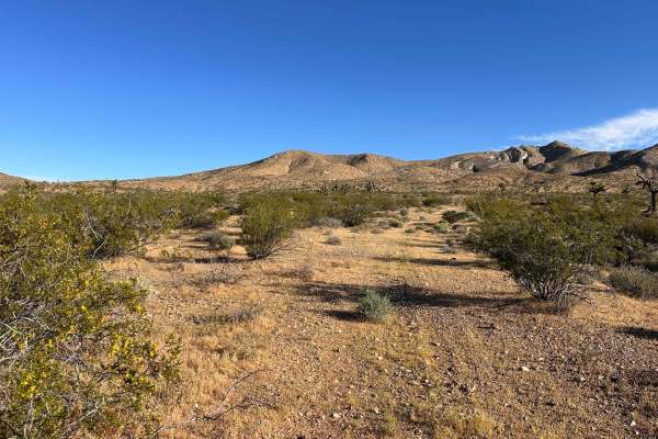 Dust Devil Trail