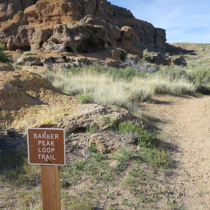 Near Barber Peak Loop