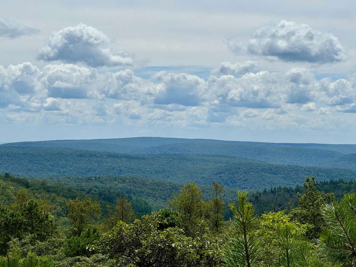 Stillhouse Hollow Road trail photo