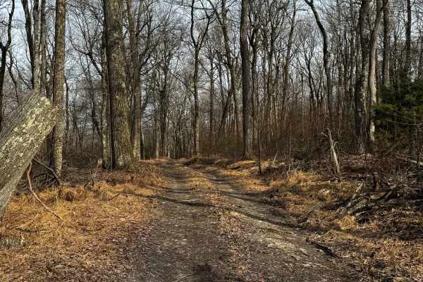 Caldwell Ridge