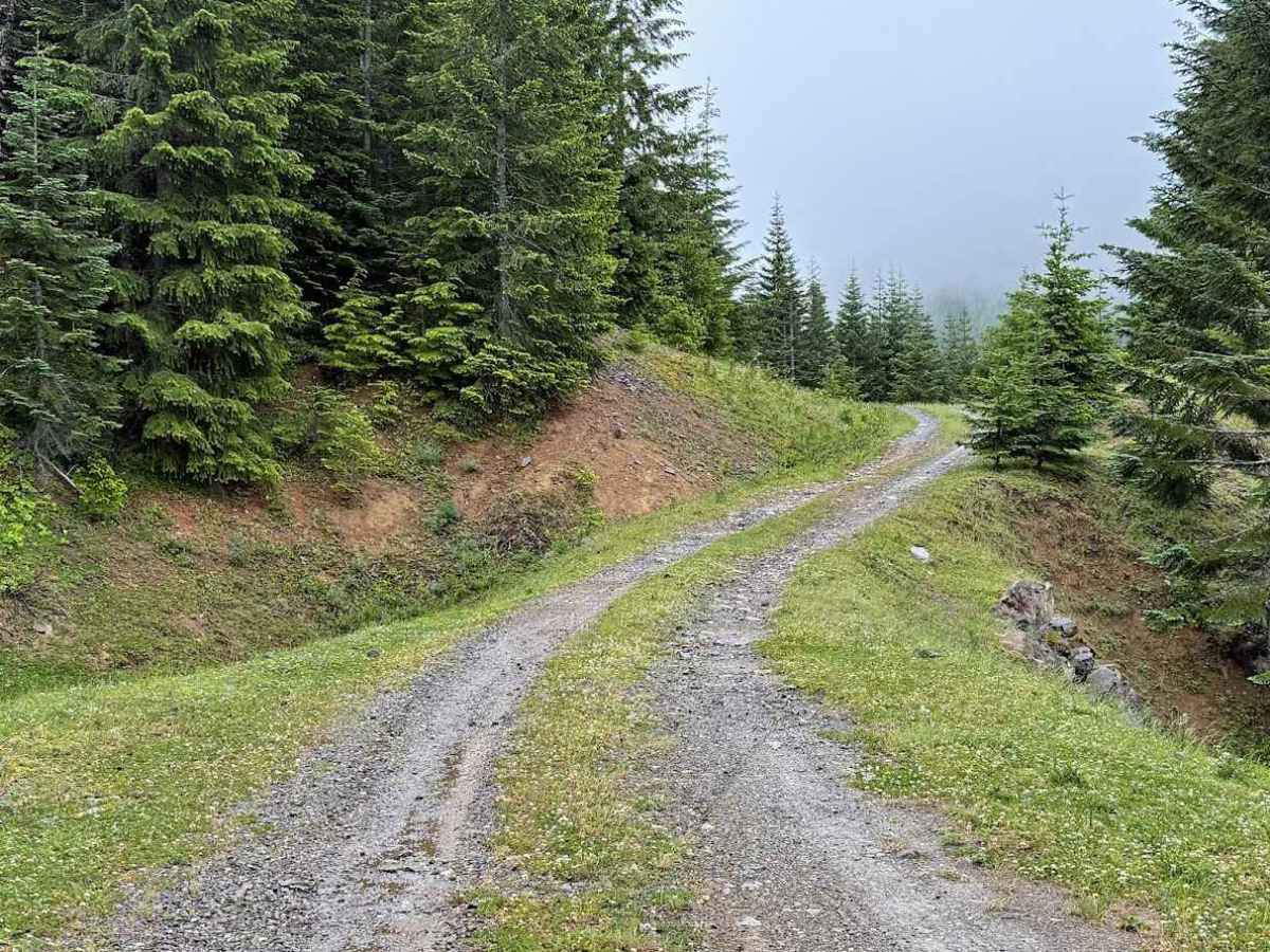 Intake Creek - FS 5220 trail photo