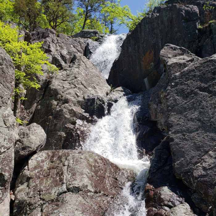 Near Ozark Trail: Taum Sauk Section