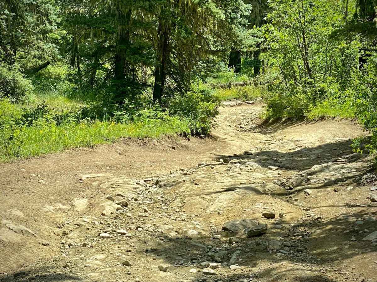 Upper Section of East Fork San Juan River Rd-Fr 667 photo 2