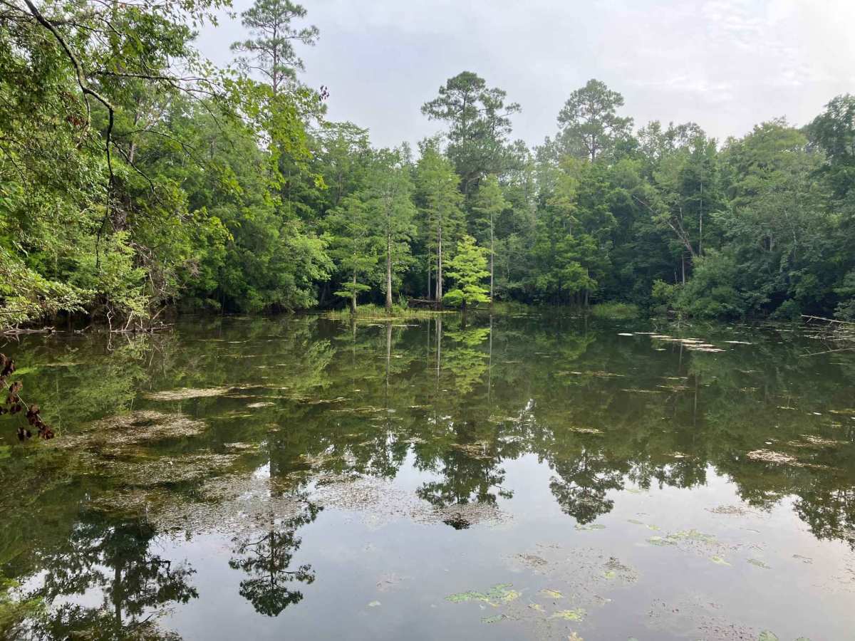 Gravel Landing trail photo