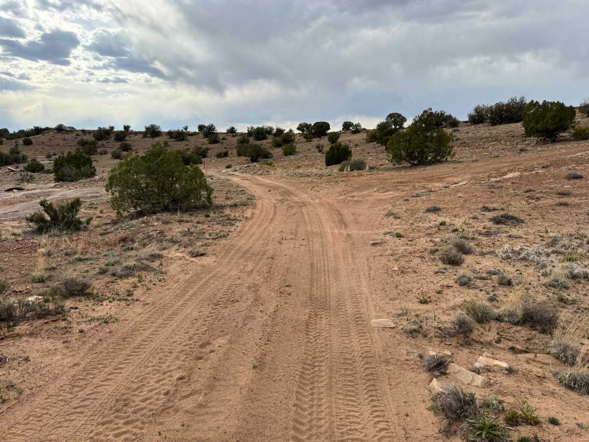 BLM 625 photo 2