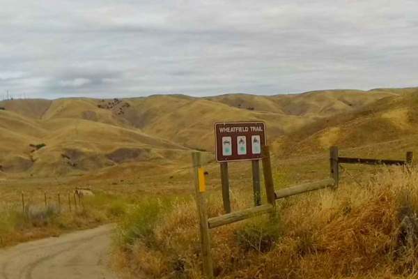 Wheatfield Trail