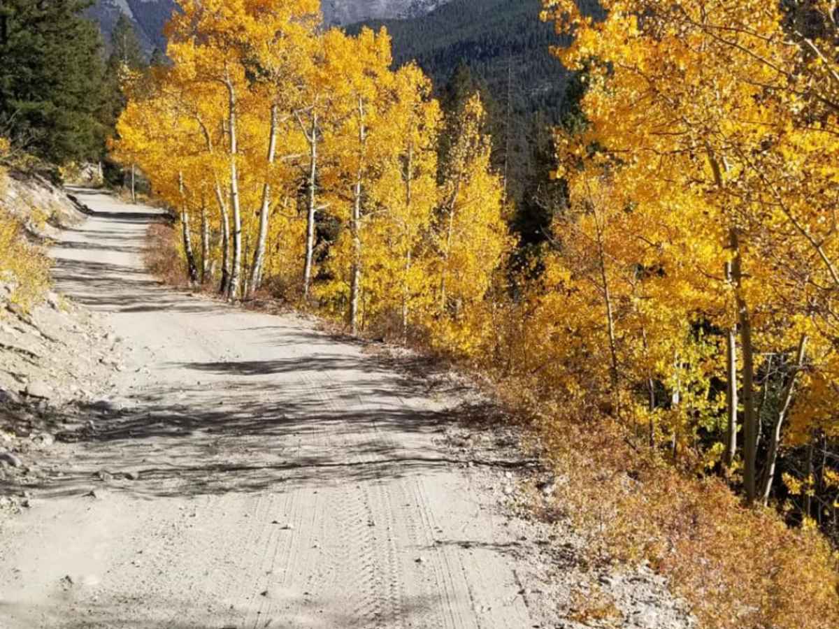 Old Chalk Rd (Co Rd 292) photo 2