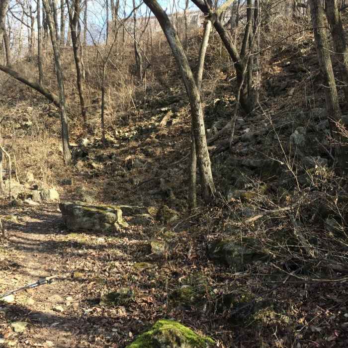 The path at Gnome's Garden on the Rozarks Trail is rocky and often covered in leaves. Near Rozarks Loop