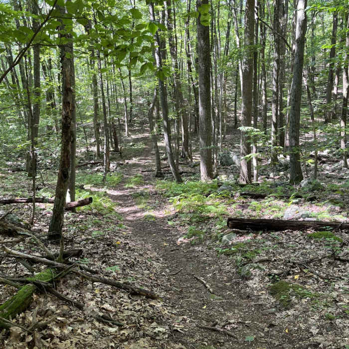 Near Waving Willie Loop Near Waving Willie Loop