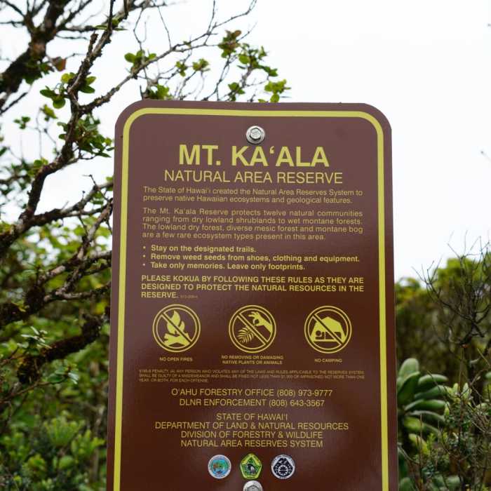 Near Mt Ka'ala Out-and-Back Near Mt Ka'ala Out-and-Back