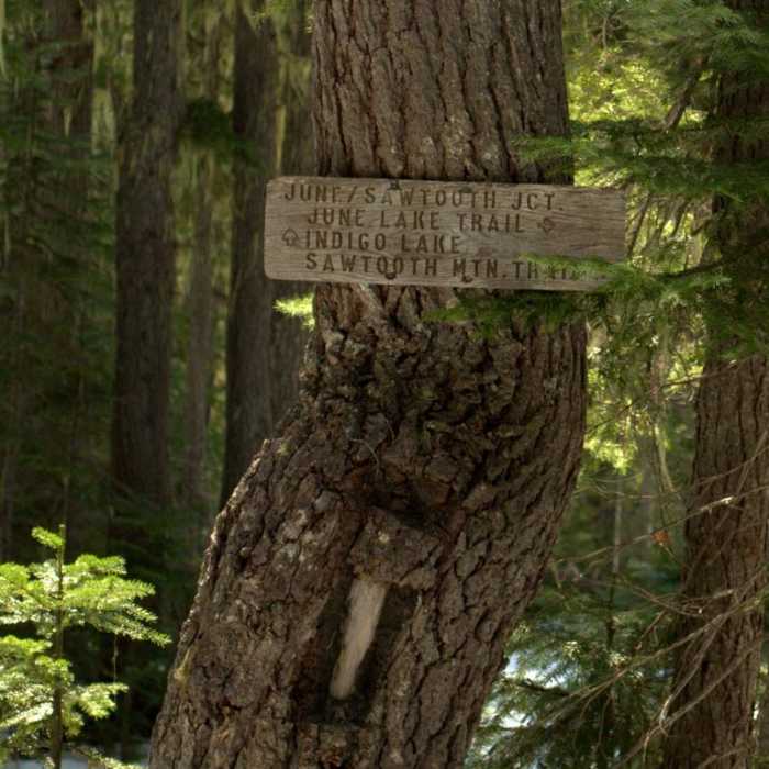 Near Indigo Lake Trail