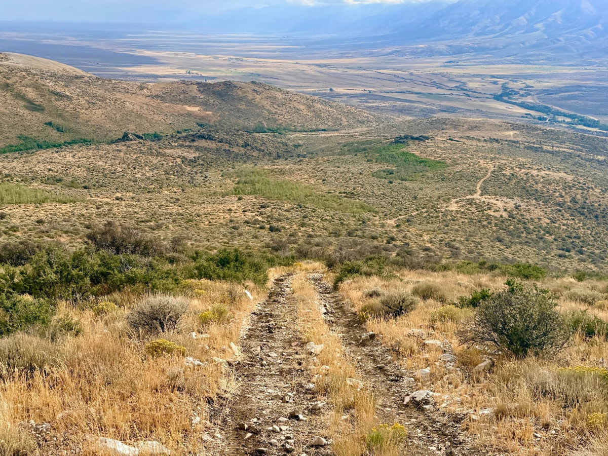 Horse 1 - FS 17911 trail photo