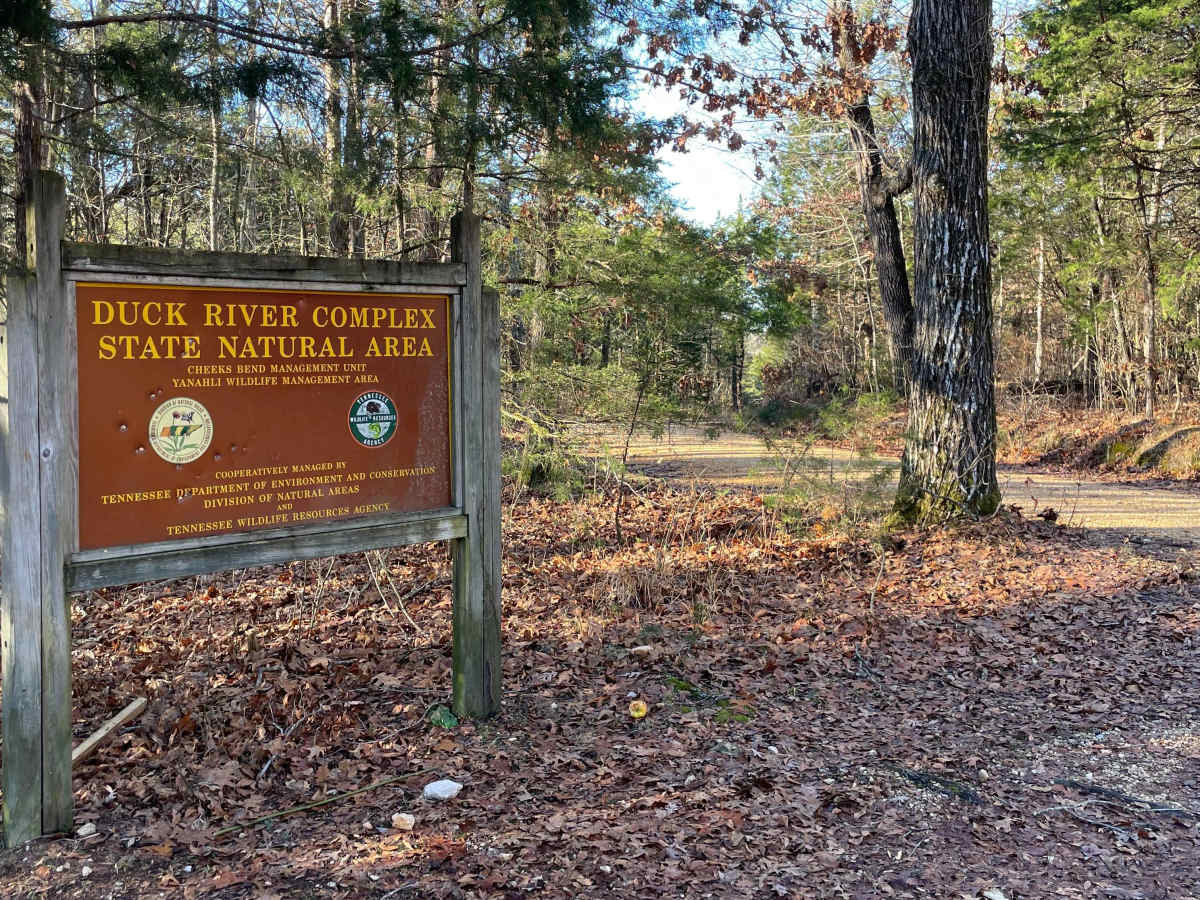 Cheek's Bend Road trail photo
