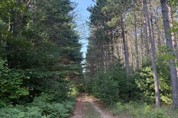 West Bear Creek Trail