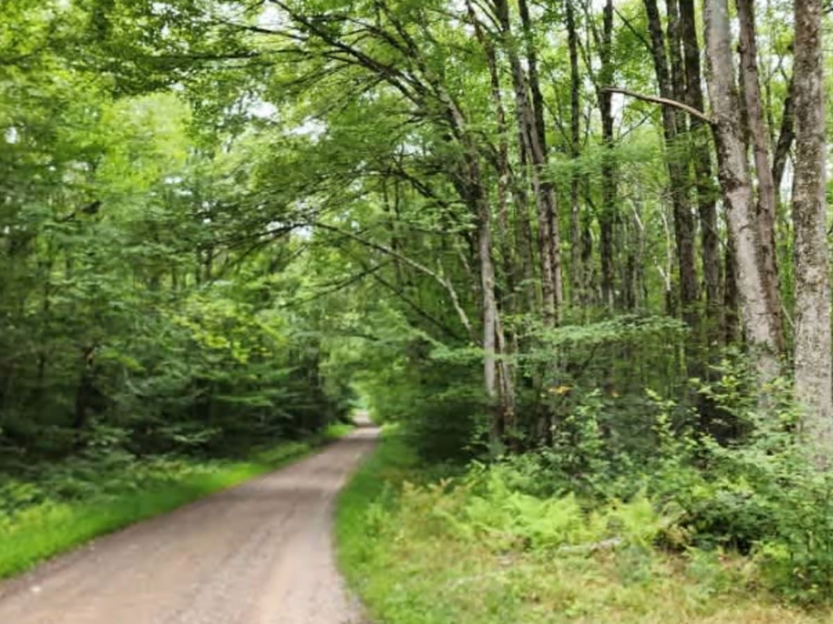 Britton Road photo 4