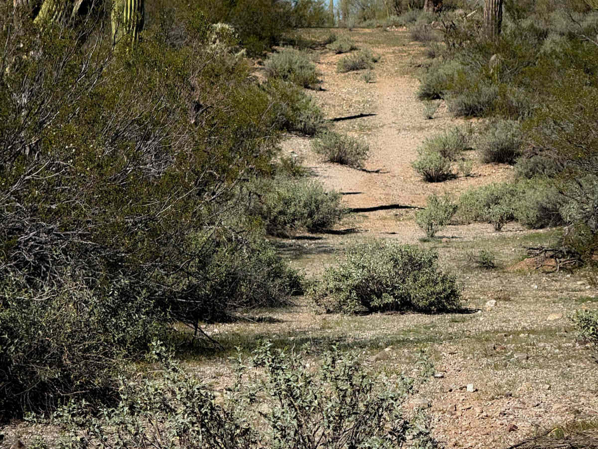 Powerline Primitive  trail photo