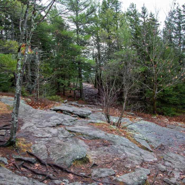 Near Wapack Trail to Mount Watatic and Pratt Mountain Near Wapack Trail to Mount Watatic and Pratt Mountain