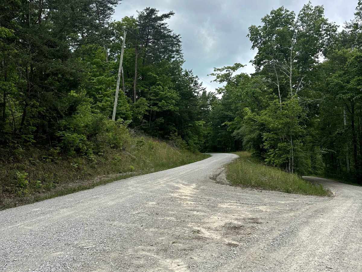 Parker Mountain Road trail photo