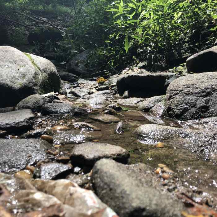 Buttermilk Trail Near James River Loop