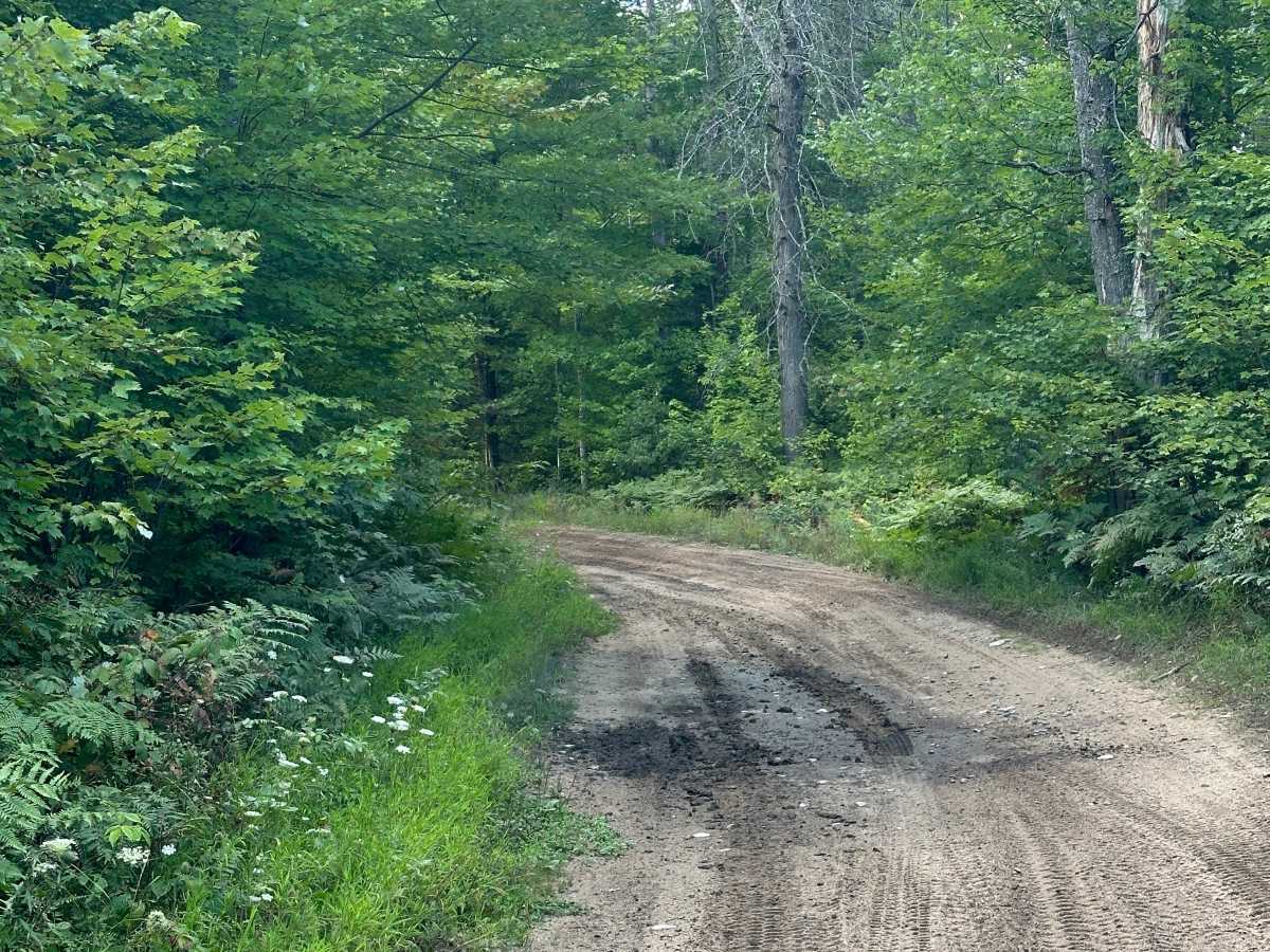 Panther Road photo 4