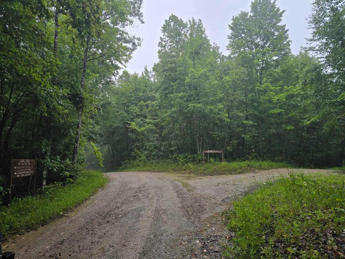 Laurel Ridge Road - FS 637 photo 3