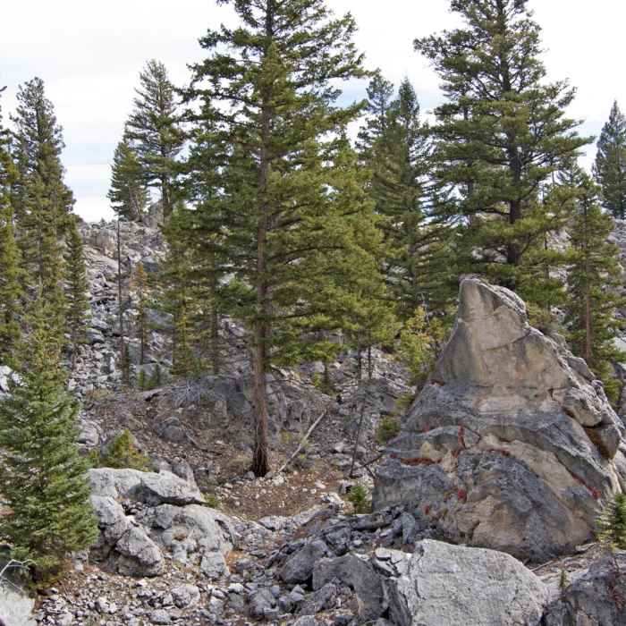 Near Howard Eaton Trail: Golden Gate