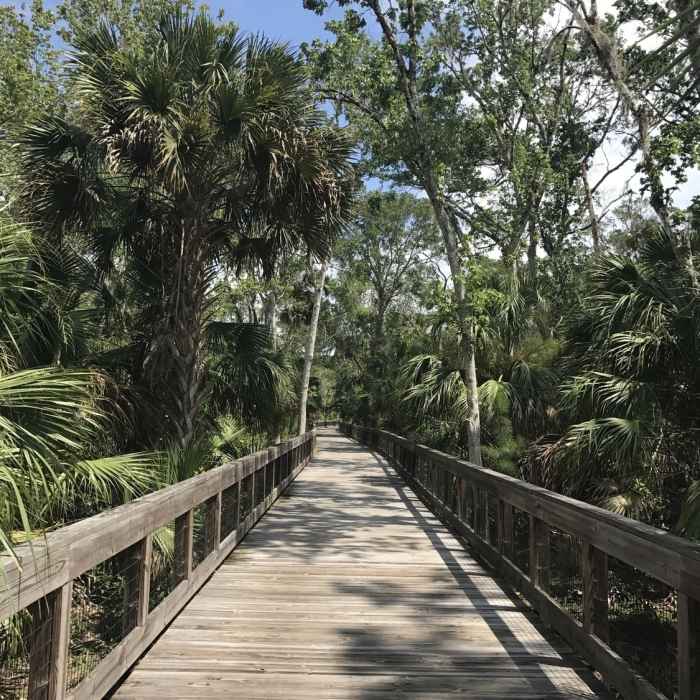 Near Graham Swamp Trail