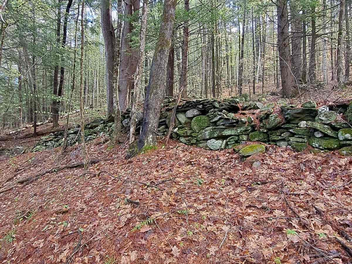 Burton Woods Road photo 4