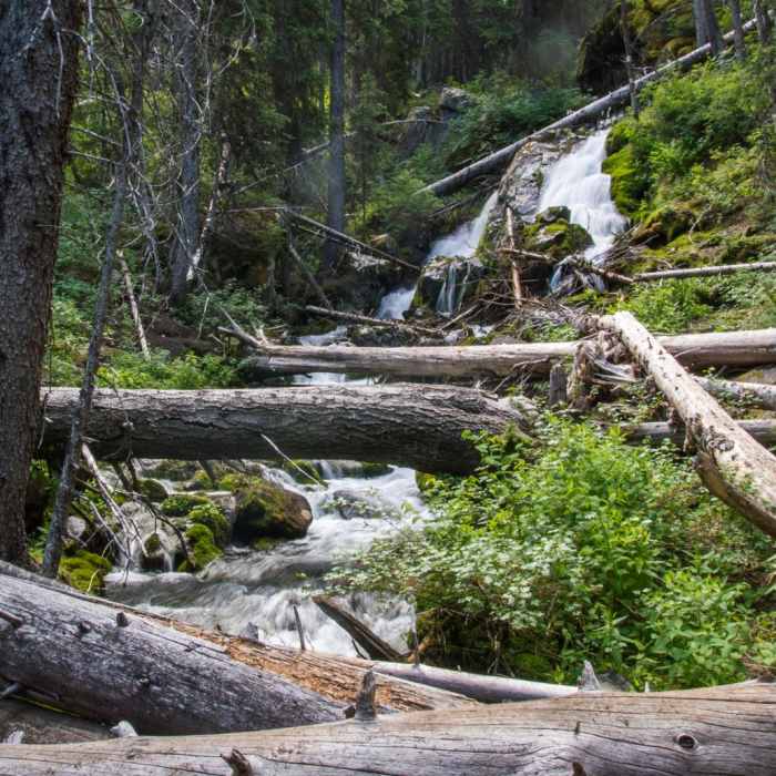 Near Seven Devils: Windy Saddle to Sheep Lake